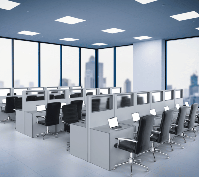 شركة سيو 11 سيو شركات